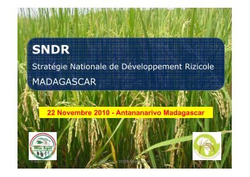 SNDR Madagascar GSRI - Groupement SRI Madagascar