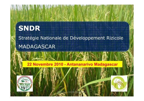 SNDR Madagascar GSRI - Groupement SRI Madagascar