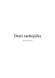 Dračí ranhojička