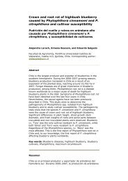 1. Crown and root rot of highbush blueberry caused by Phytophthora ...