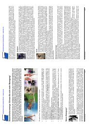 Lifetime-Sport als PDF-Datei - Schwimmverein Limmat (SVL)