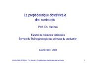 La propÃ©deutique obstÃ©tricale des ruminants - ThÃ©riogÃ©nologie des ...