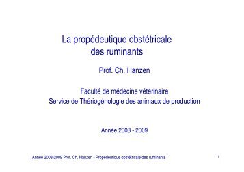 La propÃ©deutique obstÃ©tricale des ruminants - ThÃ©riogÃ©nologie des ...