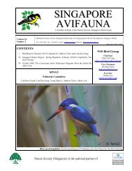 Singapore Avifauna Vol 24 No 02 - Singapore Bird Group - Nature ...