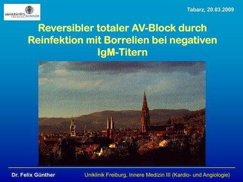 Reversibler totaler AV-Block durch Reinfektion mit Borrelien bei ...
