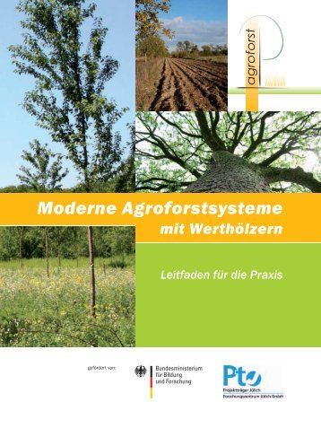 Was sind Agroforstsysteme?