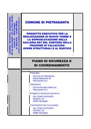 Vallecchia_E_ PSC lotto1.pdf - Comune di Pietrasanta