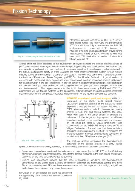 Fusion Programme - ENEA - Fusione