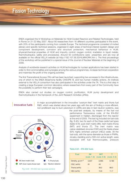 Fusion Programme - ENEA - Fusione