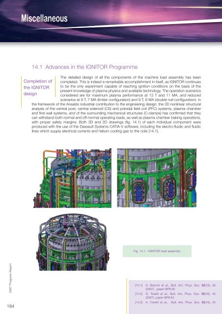 Fusion Programme - ENEA - Fusione