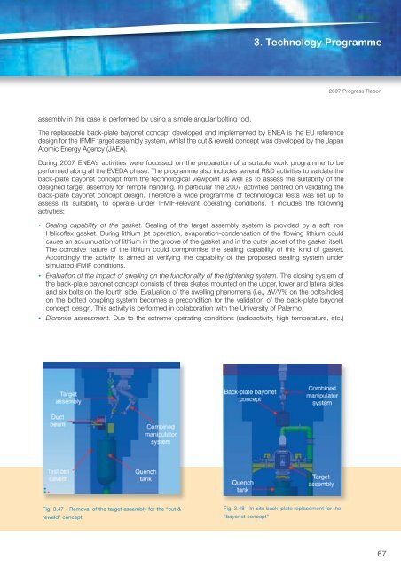 Fusion Programme - ENEA - Fusione