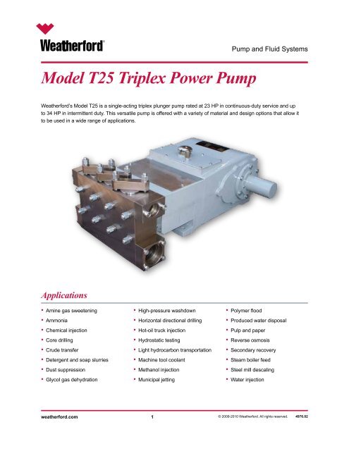 Model T25 Triplex Power Pump 