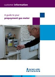 Prepayment Meter brochure (PDF 852KB) - Bord Gais Networks