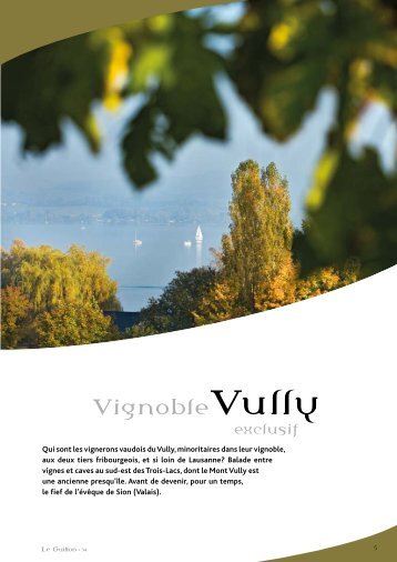 Vully - STLDESIGN