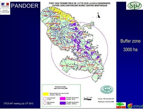 Black Sigatoka threat : 2010 major concern - CEDAF