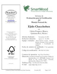 Ejido Chacchoben - Rainforest Alliance