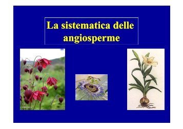 La sistematica delle iangosperme angiosperme