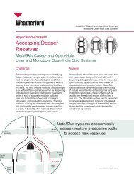 MetalSkin - Weatherford International