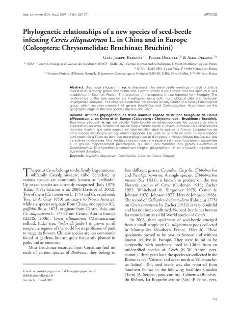 Phylogenetic relationships of a new species of seed-beetle infesting ...