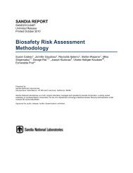 Biosafety Risk Assessment Report - Sandia National Laboratories