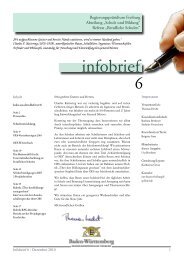 infobrief 6 - Ferdinand-von-Steinbeis-Schule - Gewerbliche Schulen ...