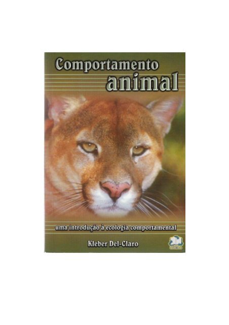 Livro Caça-Palavras 25: Nível Médio/ Difícil - Objetos, animais, alimentos,  curiosidades e muito mais!