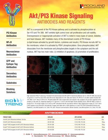 New Rockland AKT/PI3 Kinase Signaling Antibodies and Others