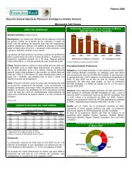 Febrero 2009 Monografía Café Cereza - Financiera Rural