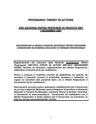 programul tineret in actiune - ANPCDEFP