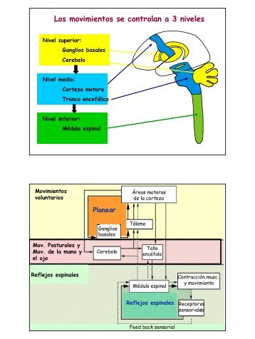 Control Motor II - Todoenfermeria