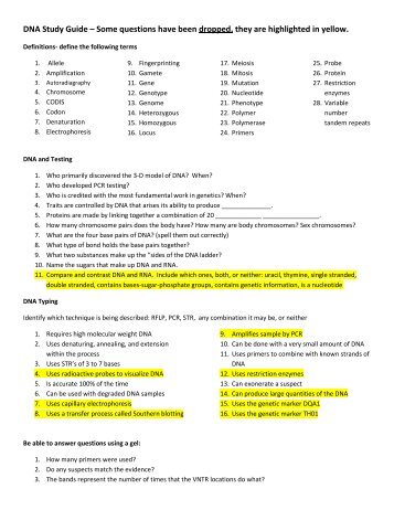 DNA Study Guide â Some questions have been dropped, they are ...