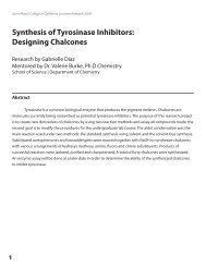 Synthesis of Tyrosinase Inhibitors: Designing Chalcones