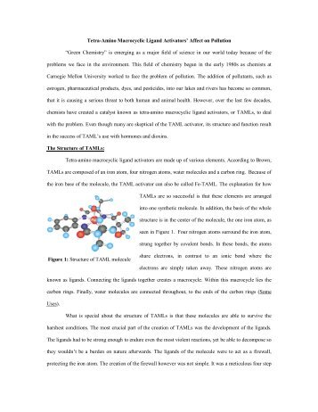 TetraAmino Macrocyclic Ligand Activators' Affect on Pollution “Green ...