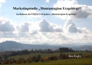 Marketingstudie „Montanregion Erzgebirge“
