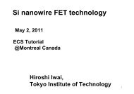 Si nanowire FET technology