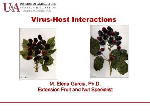 Virus-Host Interactions