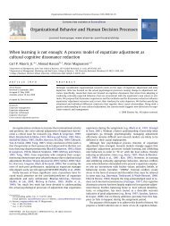 When learning is not enough: A process model of expatriate ...