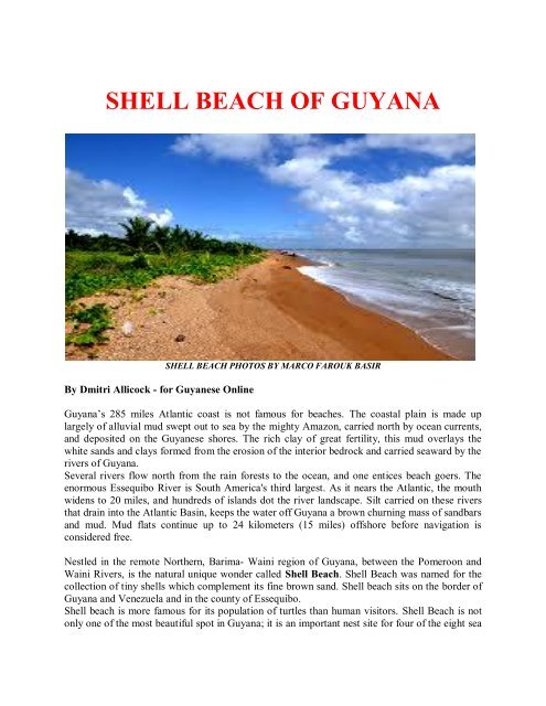 Shell Beach of Guyana â by Dmitri Allicock - Guyanese Online