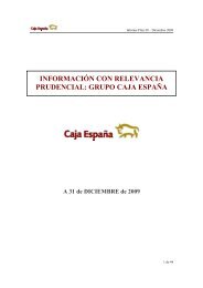 InformaciÃ³n con Relevancia Prudencial 2009 - Caja EspaÃ±a-Duero