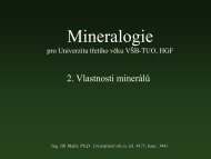 Mineralogie a petrografie