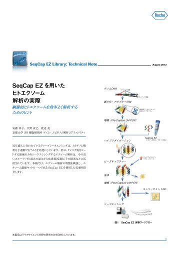 SeqCap EZãç¨ãã ããã¨ã¯ã½ã¼ã  è§£æã®å®é - ã­ã·ã¥ã»ã¢ãã©ã¤ã ...