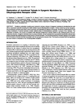 Biophysical Joumal Volurne 67 August 1994 793-803