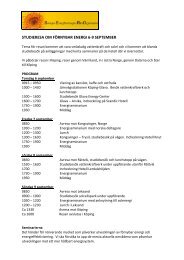 STUDIERESA OM FÃRNYBAR ENERGI 6-9 SEPTEMBER - Sero