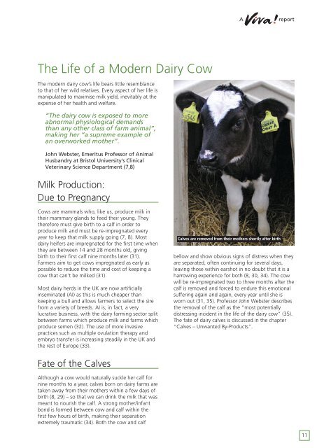 Dark Side of Dairy report 2014