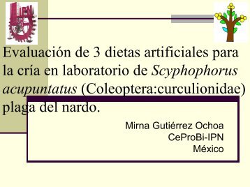 Evaluación de 3 dietas artificiales para la cría en ... - CEDAF