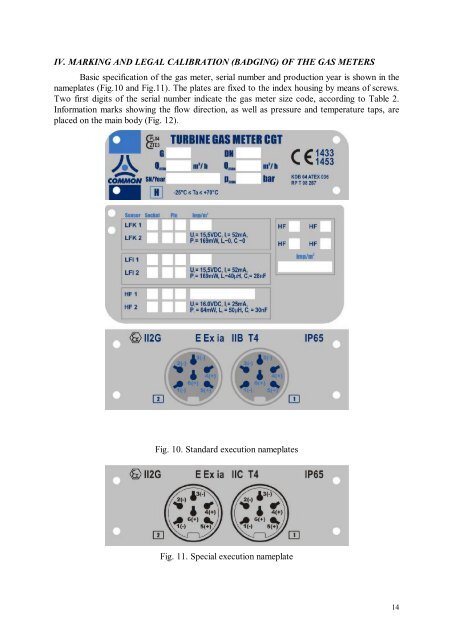 CGT-02 TURBINE GAS METERS - firsttech.ro