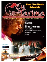 Scott Henderson - Blues Devils Band