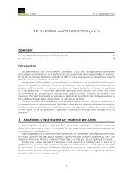 TP 3 - Particle Swarm Optimization (PSO)