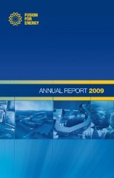 F4E Annual Report 2009 - Fusion For Energy - Europa