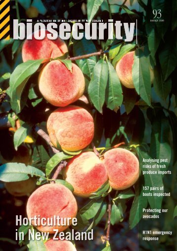 AVOCADOS - Biosecurity New Zealand